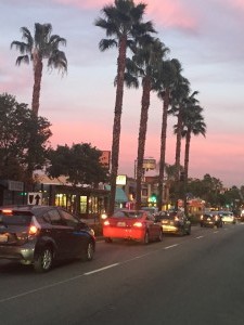 The village BID Sunset Median Ventura Blvd   