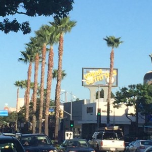 Trimmed Trees BID Ventura Blvd Sherman Oaks                      