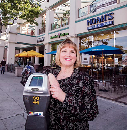 leslie BID sherman oaks   